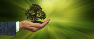 sustainability-3303398_1920